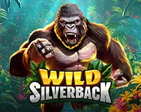 Wild Silverback