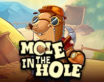 Mole in the Hole